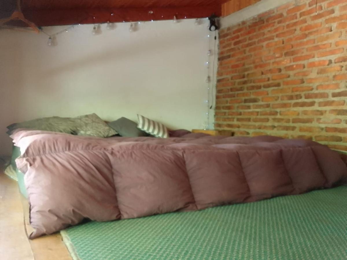 Casita En La Montana Leilighet San Martín de los Andes Eksteriør bilde