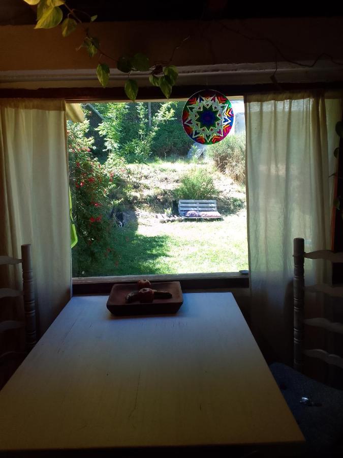 Casita En La Montana Leilighet San Martín de los Andes Eksteriør bilde